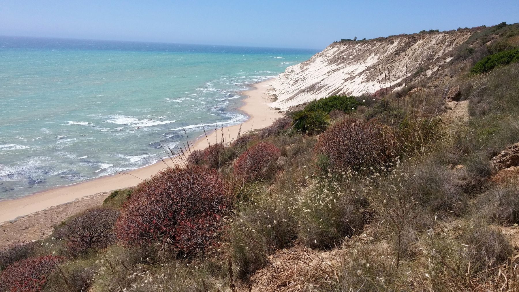 Dall'alto di un sentiero tra arbusti rossastri e macchia mediterranea: una lunga spiaggia deserta, una falesia chiara e il mare turchese della riserva di Torre Salsa