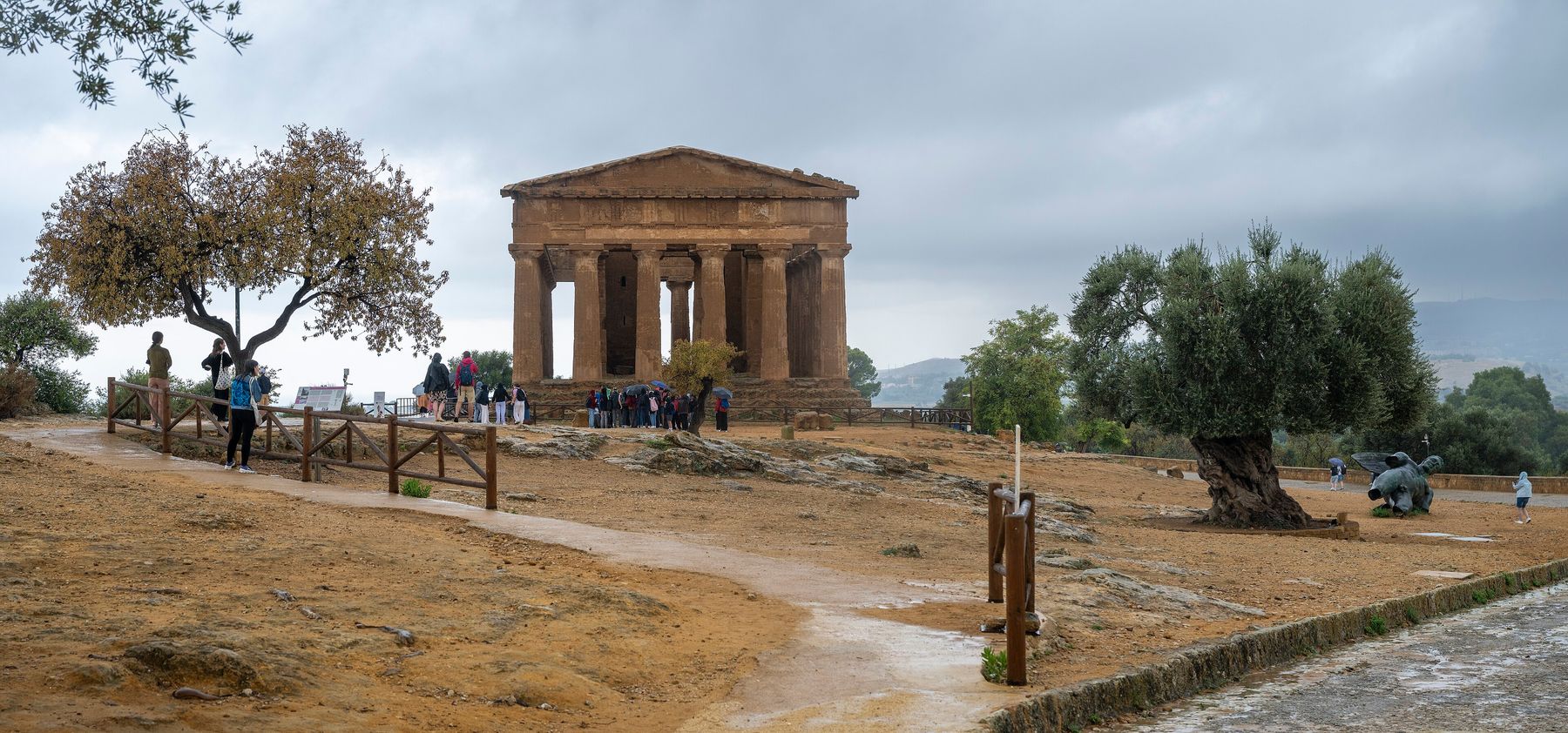Il Tempio della Concordia nella Valle dei Templi di Agrigento sotto un cielo grigio, con un ulivo secolare a destra, un sentiero bagnato e un gruppo di visitatori con gli ombrelli